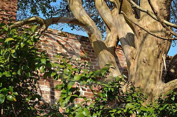NATCHEZ #21 (Natchez Trace Natchez MS)
