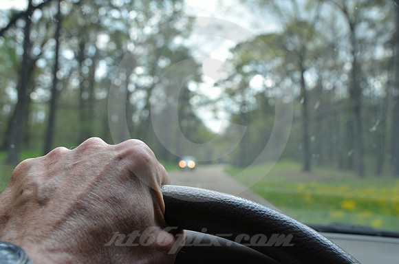 ONCOMING CICADA (Natchez Trace MS)