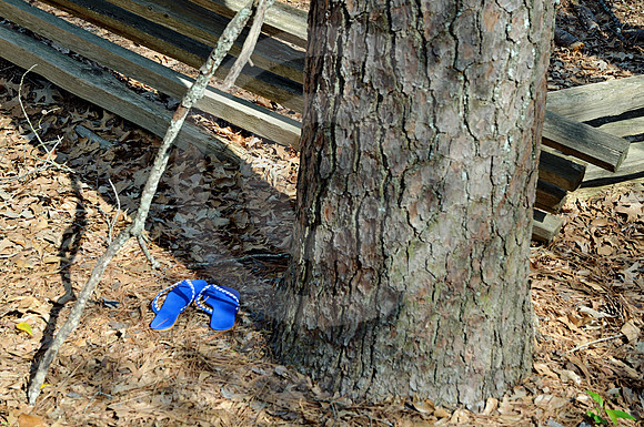 LEFT BEHIND (Natchez Trace nr Port Gibson MS)