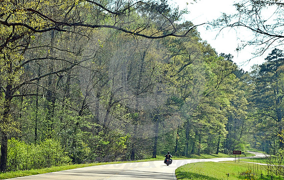 TURPIN CREEK TURN (Natchez Trace nr Natchez MS)