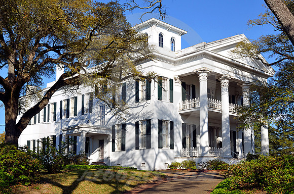 STANTON HALL #1 (Natchez Trace Natchez MS)