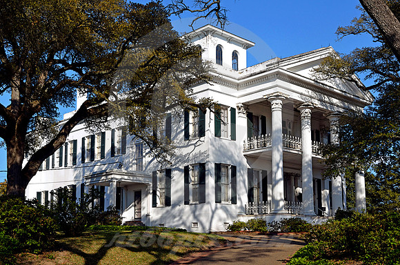 STANTON HALL #2 (Natchez Trace Natchez MS)