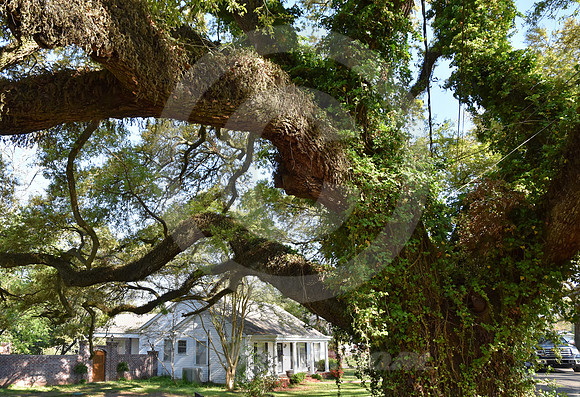 NATCHITOCHES #57 (Natchitoches LA)