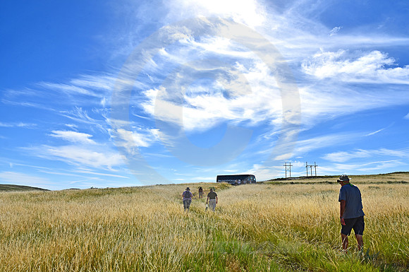 STRAGGLERS (Robidoux Pass nr Gering NE)