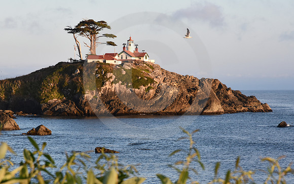 CALIFORNIA STYLE #309 (Crescent City CA)