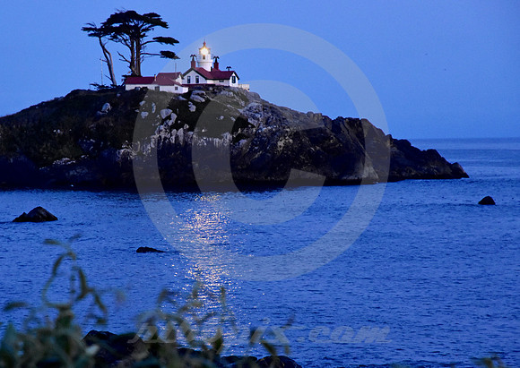 CALIFORNIA STYLE #321 (Crescent City CA)