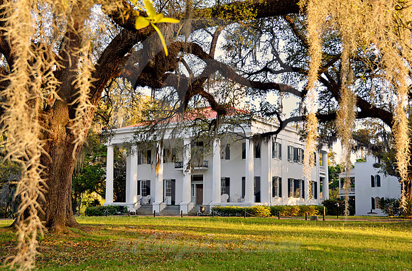 D'EVEREUX #2 (Natchez Trace Natchez MS)