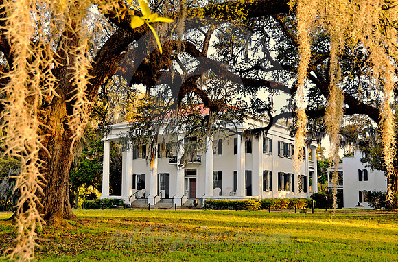 D'EVEREUX #3 (Natchez Trace Natchez MS)