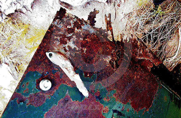 RUSTED-OUT DOOR (Rt 66 Painted Desert AZ)