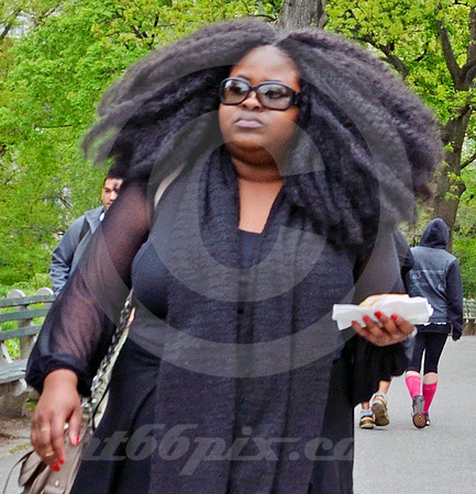 CENTRAL PARK #8 (New York)