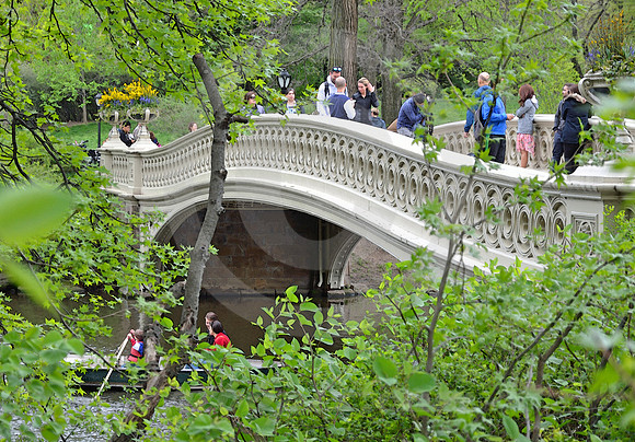 CENTRAL PARK #11 (New York)