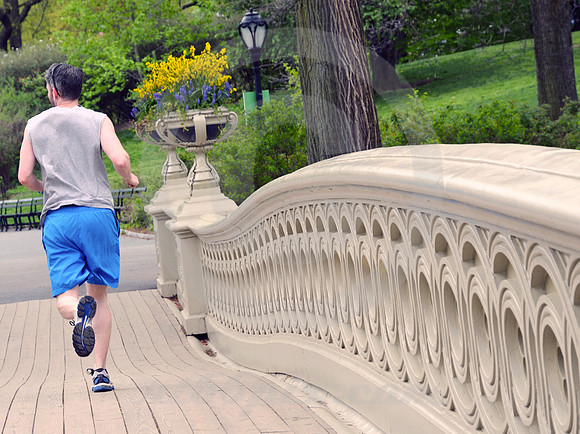 CENTRAL PARK #12 (New York)