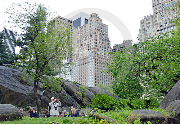 CENTRAL PARK #18 (New York)