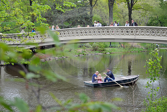 CENTRAL PARK #20 (New York)
