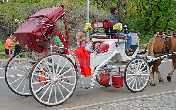 CENTRAL PARK #17 (New York)
