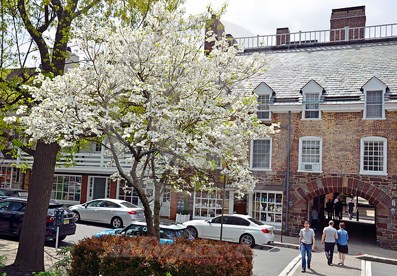 PRINCETON #8 (Lincoln Highway Princeton NJ)