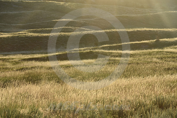 TRACES ACROSS TIME (nr Gering NE)