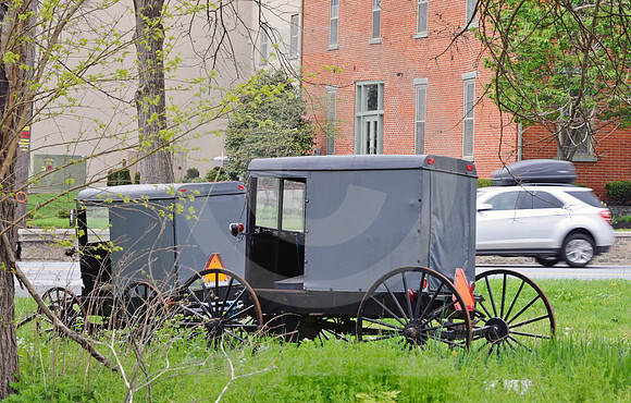 BUGGIES (Lincoln Highway Paradise PA)