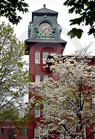 HAMILTON SPRING #1 (Lincoln Highway Lancaster PA)