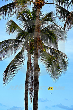 MIAMI BEACH #185 (Miami Beach FL)