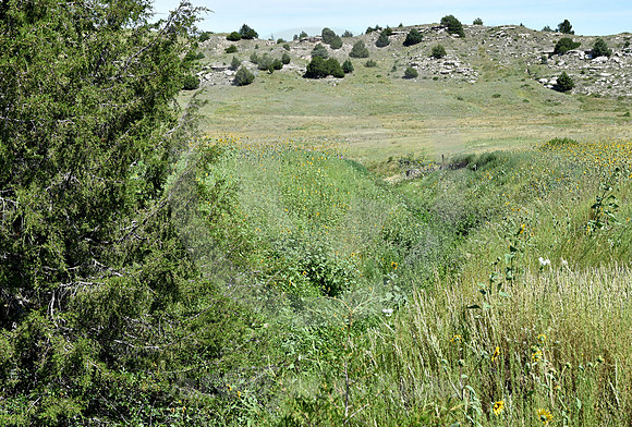 WINDLASS HILL #5 (nr Lewellen NE)
