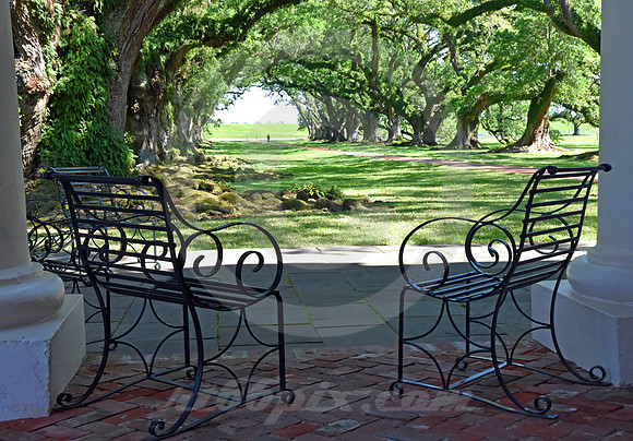 OAK ALLEY #20 (Vacherie LA)