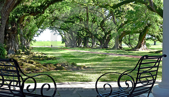 OAK ALLEY #21 (Vacherie LA)