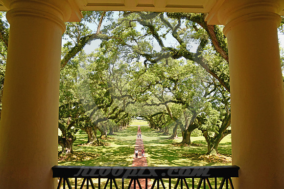 OAK ALLEY #25 (Vacherie LA)
