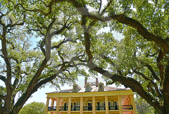 OAK ALLEY #38 (Vacherie LA)
