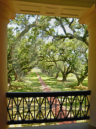 OAK ALLEY #32 (Vacherie LA)