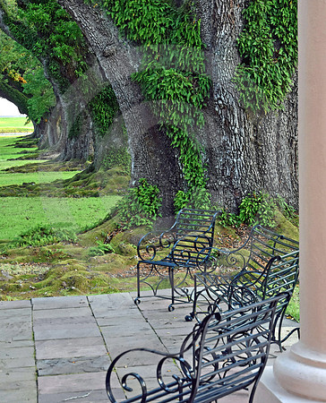 OAK ALLEY #50 (Vacherie LA)