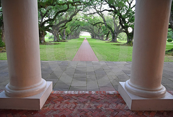 OAK ALLEY #51 (Vacherie LA)
