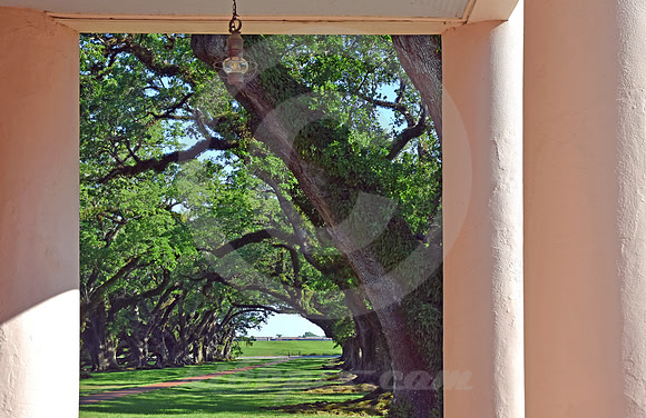 OAK ALLEY #57 (Vacherie LA)