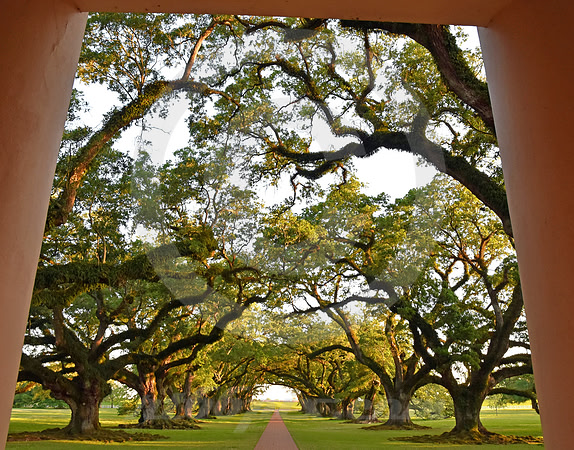 OAK ALLEY #58 (Vacherie LA)