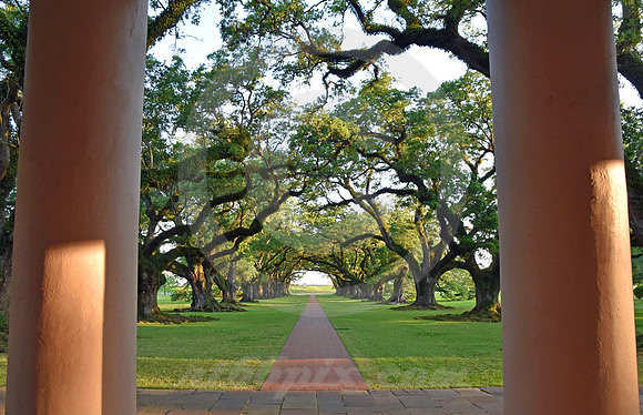 OAK ALLEY #60 (Vacherie LA)