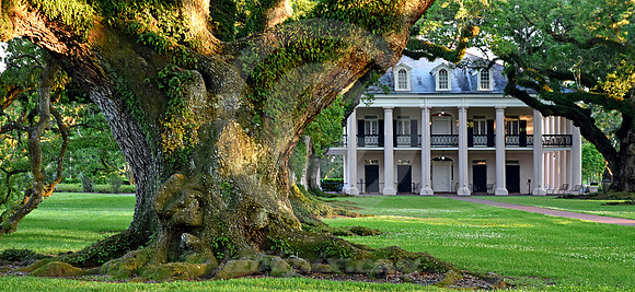 OAK ALLEY #70 (Vacherie LA)