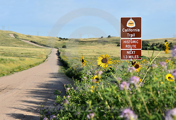 SIGN, ROAD & FLOWERS (nr Gering NE)
