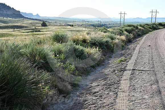 LOOKING BACK AT DAWN (nr Gering NE)