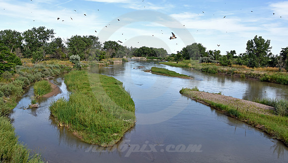 PLATTE RIVER #8 (nr North Platte NE)