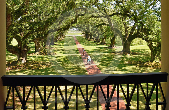 OAK ALLEY #79 (Vacherie LA)
