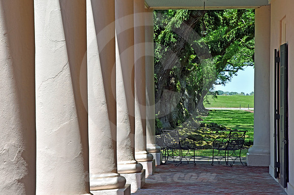 OAK ALLEY #87 (Vacherie LA)