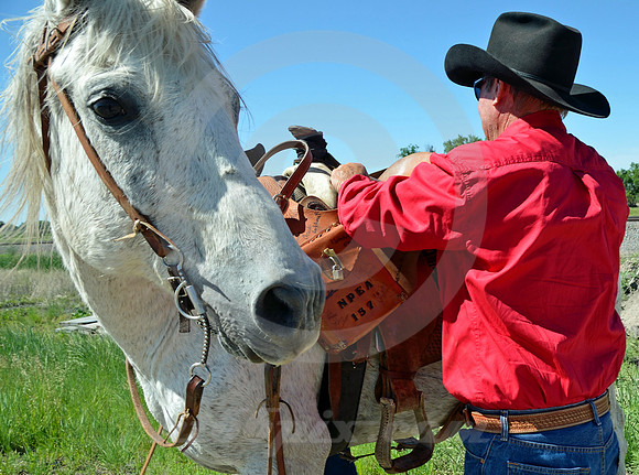 RE-RIDE #2 (western NE)