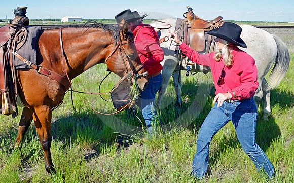 RE-RIDE #8 (western NE)