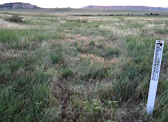 IN A SWALE (nr Gering NE)