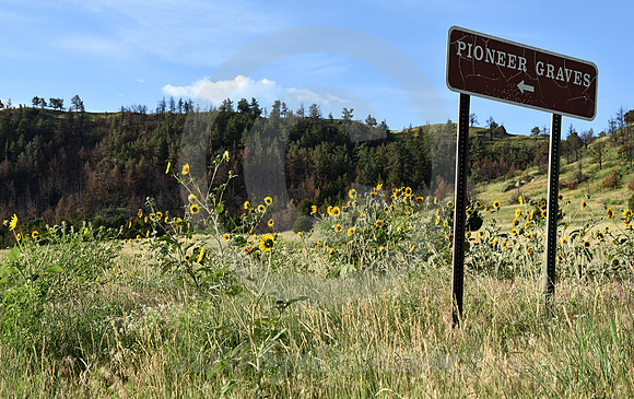 SIGN & SCENE (nr Gering NE)