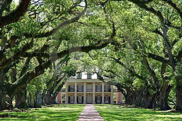OAK ALLEY #93 (Vacherie LA)