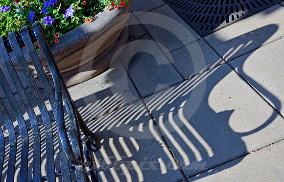 BENCH, PLANTER & SHADOW (Lincoln Highway Longmont CO)