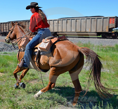 RE-RIDE #49 (western NE)