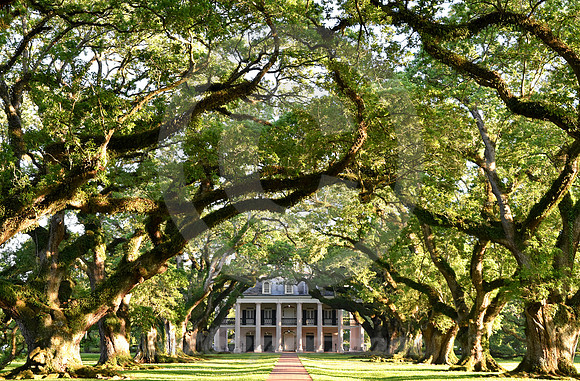 OAK ALLEY #109 (Vacherie LA)