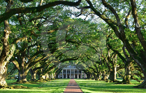 OAK ALLEY #111 (Vacherie LA)